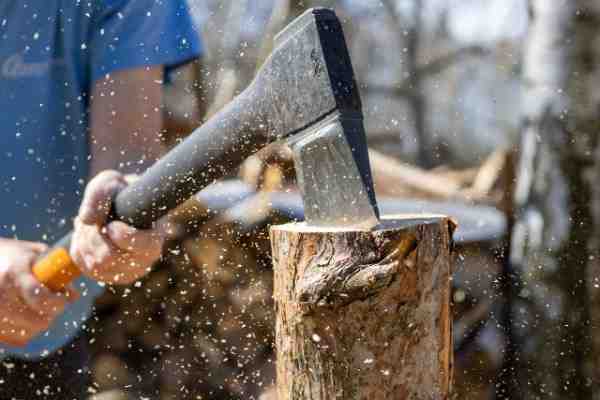 Best Cutting Tree Branches Tools for Easy and Safe Pruning