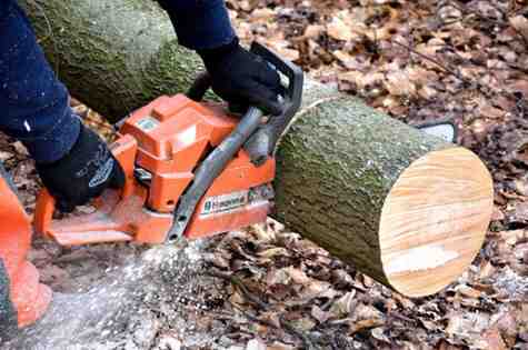 Top Benefits of Using Laser Tree Cutting for Precision Removal