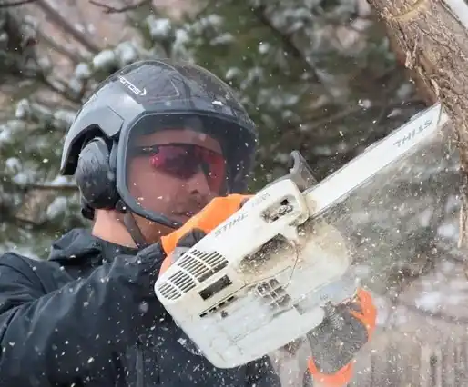 Tree Removal Service NJ