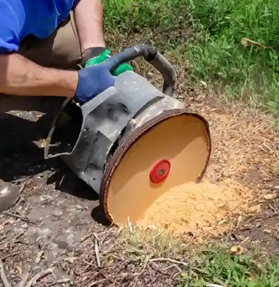 Stump Grinding Process