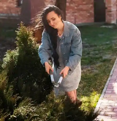 tree-trimming