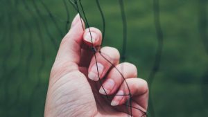 Ideal Cutting Selection and Preparation Timing
