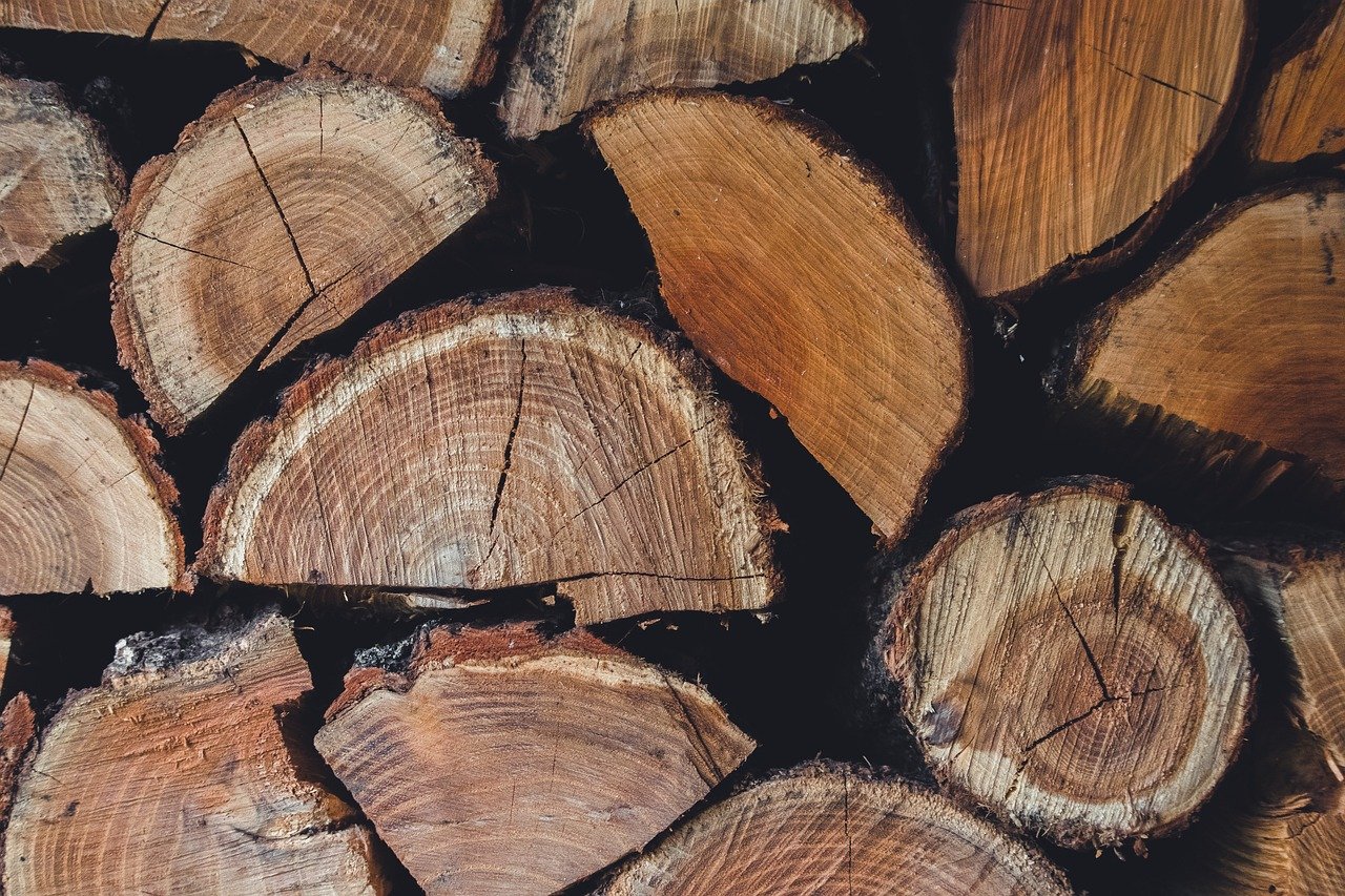 When to Plant Willow Tree Cuttings: Seasonal Growing