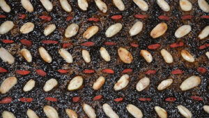 Pre-treatment & Stratification of American Holly Seeds
