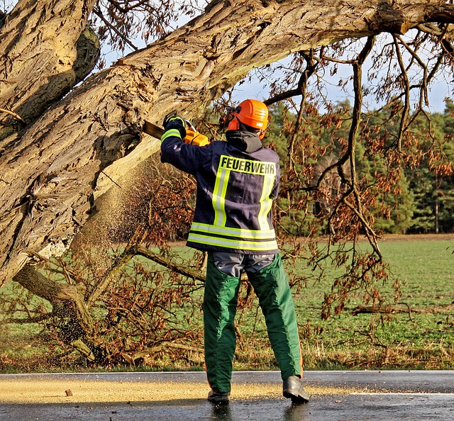 North Jersey Arborist Team