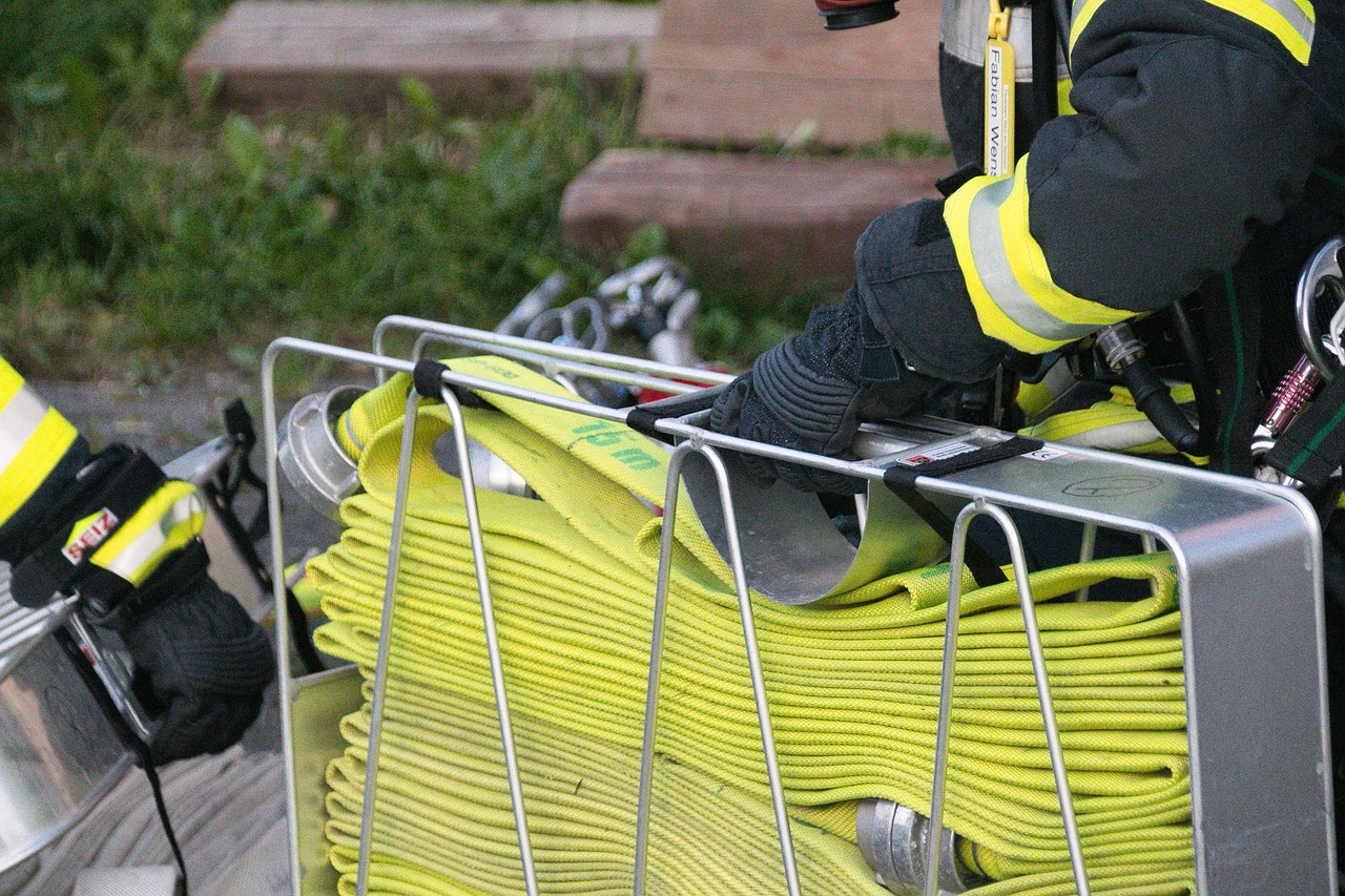 Reasons for Tree Moving Services