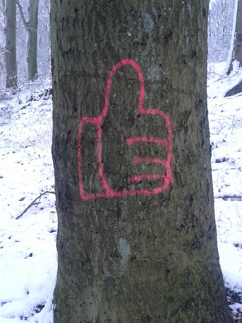 Stump Grinding South Jersey