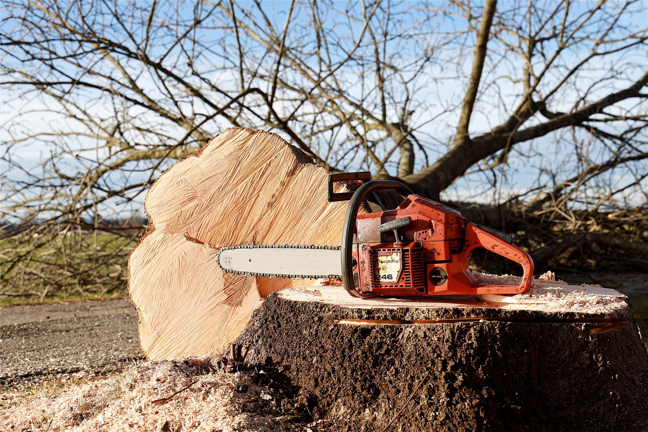 professional stump grinding in New Jersey