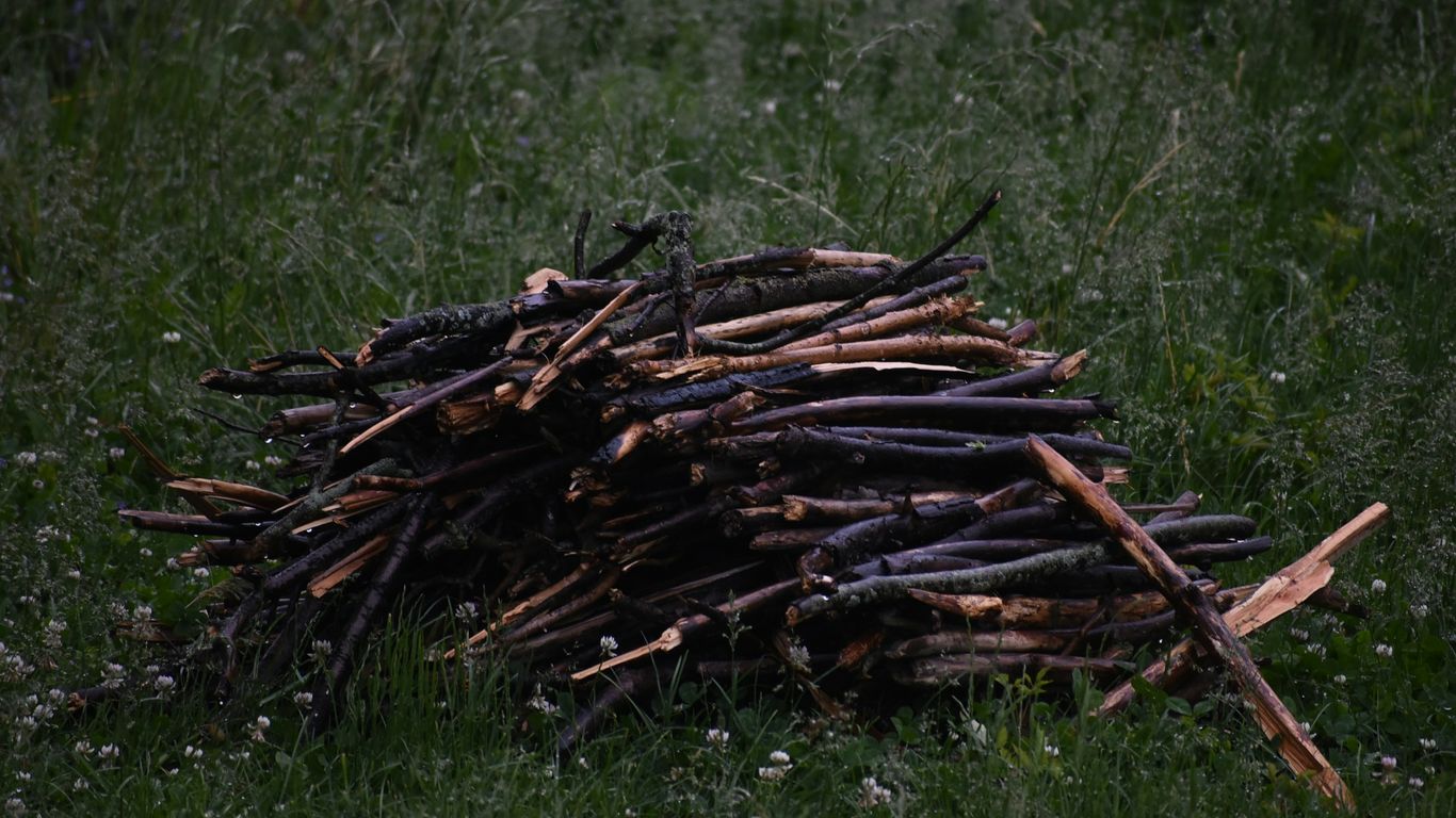 How Much Does a Yard of Mulch Weigh